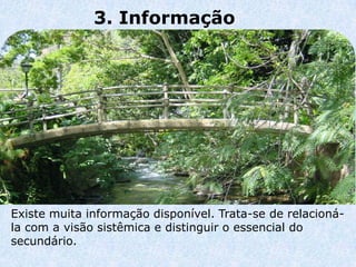 3. Informação




Existe muita informação disponível. Trata-se de relacioná-
la com a visão sistêmica e distinguir o essencial do
secundário.
 