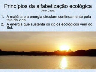 Princípios da alfabetização ecológica
                       (Fritof Capra)

1. A matéria e a energia circulam continuamente pela
   teia da vida.
2. A energia que sustenta os ciclos ecológicos vem do
   Sol.
 