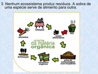 3. Nenhum ecossistema produz resíduos. A sobra de
  uma espécie serve de alimento para outra.
 