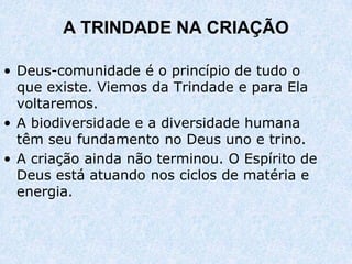 A TRINDADE NA CRIAÇÃO

• Deus-comunidade é o princípio de tudo o
  que existe. Viemos da Trindade e para Ela
  voltaremos.
• A biodiversidade e a diversidade humana
  têm seu fundamento no Deus uno e trino.
• A criação ainda não terminou. O Espírito de
  Deus está atuando nos ciclos de matéria e
  energia.
 