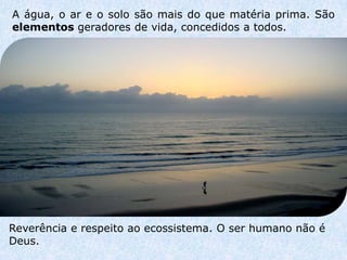 A água, o ar e o solo são mais do que matéria prima. São
elementos geradores de vida, concedidos a todos.




Reverência e respeito ao ecossistema. O ser humano não é
Deus.
 
