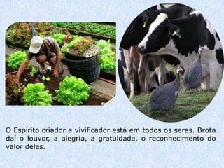 O Espírito criador e vivificador está em todos os seres. Brota
daí o louvor, a alegria, a gratuidade, o reconhecimento do
valor deles.
 