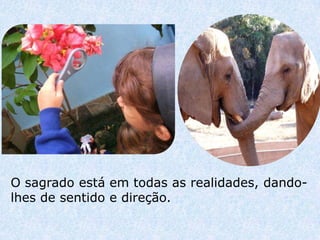 O sagrado está em todas as realidades, dando-
lhes de sentido e direção.
 