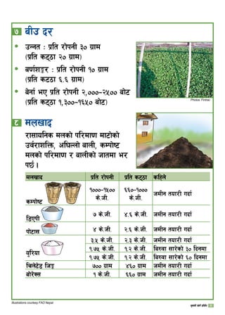 aLp b/
pGgt M k|lt /f]kgL #) u|fd
-k|lt s67f @) u|fd_
a0f{z°/ M k|lt /f]kgL !) u|fd
-k|lt s67f ^=^ u|fd_
a]gf{ eP k|lt /f]kgL @,)))–@%)) af]6
-k|lt s67f !,#))–!^%) af]6_
* 	dnvfb
/f;folgs dnsf] kl/df0f df6f]sf]
pj{/fzlQm, cl3Nnf] afnL, sDkf]i6
dnsf] kl/df0f / afnLsf] hftdf e/
k5{ .
dnvfb k|lt /f]kgL k|lt s67f slxn]
sDkf]i6
!)))–!%))
s]=hL=
^^)–!)))
s]=hL=
hdLg tof/L ubf{
l8PkL	
 s]=hL= $=^ s]=hL= hdLg tof/L ubf{
kf]6f;	 $ s]=hL= @=^ s]=hL= hdLg tof/L ubf{
o'l/of	
#=% s]=hL= @=# s]=hL= hdLg tof/L ubf{
!=% s]=hL= !=@ s]=hL= la?jf ;f/]sf] #) lbgdf
!=% s]=hL= !=@ s]=hL= la?jf ;f/]sf] ^) lbgdf
lrn]6]8 lh° )) u|fd $^) u|fd hdLg tof/L ubf{
af]/]S; ! s]=hL= ^^) u|fd hdLg tof/L ubf{
ð
ð
ð
Illustrations courtesy FAO Nepal.
Photos: Fintrac
v';f{gL v]tL k|ljlw 
 