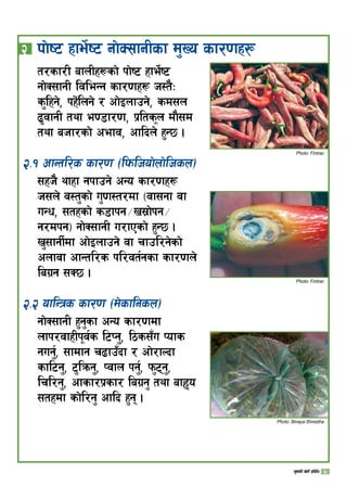 @ 	kf]i6 xfe]{i6 gf]S;fgLsf d'Vo sf/0fx¿
Photo: Fintrac
Photo: Fintrac
t/sf/L afnLx¿sf] kf]i6 xfe]{i6
gf]S;fgL ljleGg sf/0fx¿ h:t}M
s'lxg], kx]+lng] / cf]Onfpg], sd;n
9'jfgL tyf e08f/0f, k|ltsn df};d
tyf ahf/sf] cefj, cflbn] x'G5 .
@=! cfGtl/s sf/0f -lkmlhof]nf]lhsn_
;xh} yfxf gkfpg] cGo sf/0fx¿
h;n] j:t'sf] u'0f:t/df -jf;gf jf
uGw, ;txsf] s8fkg÷v;|f]kg÷
g/dkg_ gf]S;fgL u/fPsf] x'G5 .
v';fgL{df cf]Onfpg] jf rfpl/g]sf]
cnfjf cfGtl/s kl/jt{gsf sf/0fn]
lau|g ;S5 .
@=@ oflGqs sf/0f ‑d]sflgsn_
gf]S;fgL x'g'sf cGo sf/0fdf
nfk/jfxLkj{s l6Kg', l7s;“u Kofs
gug{', ;fdfg r9fp“bf / cf]/fNbf
sfl6g', 6'lqmg', Kjfn kg{', km'6g',
lrl/g', cfsf/k|sf/ lau|g' tyf afXo
;txdf sf]l/g' cflb x'g .
Photo: Binaya Shrestha
v';f{gL v]tL k|ljlw 
 