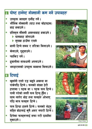 # 	kf]i6 xfe]{i6 gf]S;fgL sd ug]{ pkfox¿
pko'Qm hftx¿ 5gf}6 ug]{ .ð
ef}lts gf]S;fgL -3fp tyf rf]6k6s_
af6 arfpg] .
k|ltsn df};dL cj:yfaf6 arfpg] .
3fdaf6 hf]ufpg]
;'Vvf 7fp“df /fVg]
afnL l6Kg] ;do / tl/sf ldnfpg] .
s]nfpg], 5'6ofpg] .
Kofls· ug]{ .
9'jfgLdf ;fjwfgL ckgfpg] .
e08f/0fsf] pko'Qm Joj:yf ldnfpg] .
$ 	l6kfO{
v';f{gL /ftf] /ª r9g] cj:yf jf
kfs]kl5 l6Kg] . kmnsf] ;+Vof x]/L
xKtfdf ! k6s jf @ k6s kmn l6Kg] .
kfgL k/]sf] nut} kmn l6Kg' x'“b}g .
3fd nfu]/ af]6 tyf kmnx¿ cf]efP
kl5 dfq kmnx¿ l6Kg] .
kmn l6Kbf xftn] l6Kg] . kmnsf] e]6g'
;lxt af]6nfO{ s'g} c;/ gkf/L l6Kg] .
l6k]sf kmnx¿nfO{ ;kmf u/L 5fof“df
;'sfpg] .
ð
ð


ð
ð
ð
ð
ð
ð
ð
ð
Photo: Fintrac
Photo: Fintrac
Photo: Fintrac
Photo: Fintrac
v';f{gL v]tL k|ljlw 
 