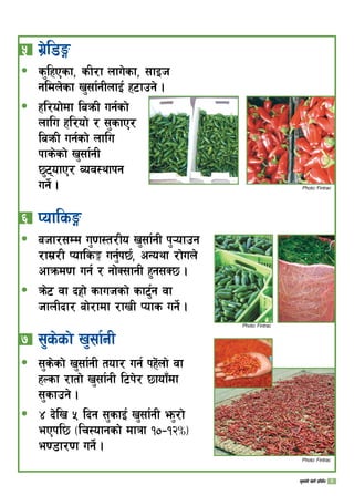 % 	u|]l8Ë
s'lxPsf, sL/f nfu]sf, ;fOh
gldn]sf v';f{gLnfO{ x6fpg] .
xl/of]df laqmL ug{sf]
nflu xl/of] / ;'sfP/
laqmL ug{sf] nflu
kfs]sf] v';f{gL
5'6ofP/ Joj:yfkg
ug]{ .
^ 	KoflsË
ahf/;Dd u'0f:t/Lo v';f{gL k'¥ofpg
/fd|/L Kofls· ug{'k5{, cGoyf /f]un]
cfqmd0f ug{ / gf]S;fgL x'g;S5 .
qm]6 jf bx|f] sfuhsf] sf6{'g jf
hfnLbf/ af]/fdf /fvL Kofs ug]{ .
 	;'s]sf] v';f{gL
;'s]sf] v';f{gL tof/ ug{ kx]+nf] jf
xNsf /ftf] v';f{gL l6k]/ 5fof“df
;'sfpg] .
$ b]lv % lbg ;'sfO{ v';f{gL em'/f]
ePkl5 -lr:ofgsf] dfqf !)–!@∞_
e08f/0f ug]{ .
ð
ð
ð
ð
ð
ð
Photo: Fintrac
Photo: Fintrac
Photo: Fintrac
v';f{gL v]tL k|ljlw 
 