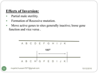 Effects of Inversion:
 Partial male sterility.
 Formation of Recessive mutation.
 Move active genes to sites generally inactive; loose gene
function and vice versa .
A B C D E F G H I J K
A B C H G F E D I J K
180O
10/12/2016mujahid.hussain7877@gmail.com11
 