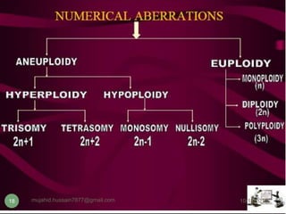 10/12/2016mujahid.hussain7877@gmail.com18
 