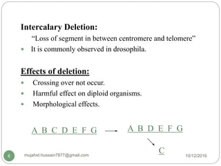 Intercalary Deletion:
“Loss of segment in between centromere and telomere”
 It is commonly observed in drosophila.
Effects of deletion:
 Crossing over not occur.
 Harmful effect on diploid organisms.
 Morphological effects.
A B C D E F G A B D E F G
C 10/12/2016mujahid.hussain7877@gmail.com6
 