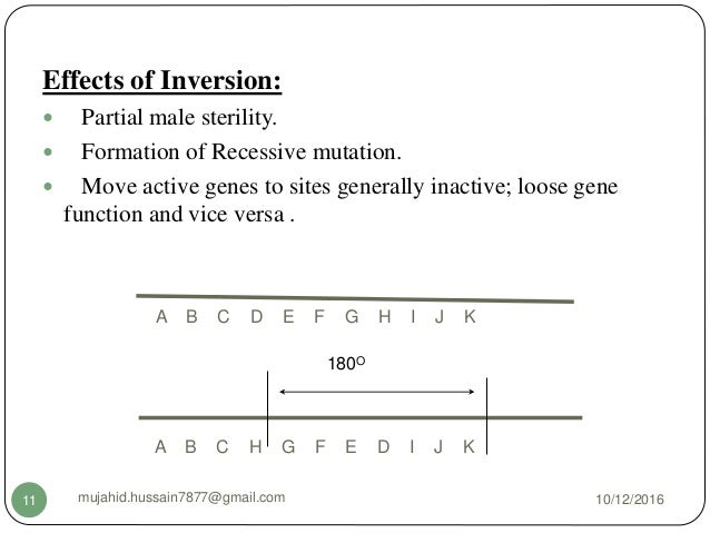 Inverted Chromosome 9 7 chromosomal aberrations Inverted Chromosome 9 7 chromosomal aberrations