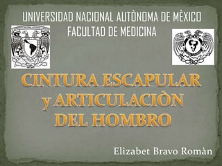 UNIVERSIDAD NACIONAL AUTÒNOMA DE MÈXICO
FACULTAD DE MEDICINA
Elizabet Bravo Romàn
 