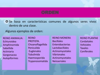 ORDEN
 Se basa en características comunes de algunos seres vivos
dentro de una clase.
Algunos ejemplos de orden:
REINO ANIMALIA:
Echiuroidea
Amphinomida
Sabellida
Actiniaria
Gorgonacea
Aulopiformes
REINO PLANTAE
Cordaitales
Voltziales
Taxales
Coniferales
REINO MONERA
Bacillales
Enterobacterias
Lactobacillales
Actinomycetales
Vibrionales
Actinomycetales
Neisseriales
REINO
PROTISTA.
Choanoflagellida
Peniculida
Euglenales
Tubulinida
Haemosporida
Trypanosomatida
 