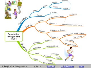 2. Respiration in Organisms: a. Part 1 b. Part 2 c. Full Chapter Index
 