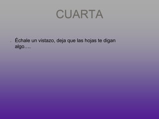 CUARTA
Échale un vistazo, deja que las hojas te digan
algo….
 