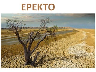 EPEKTO
 