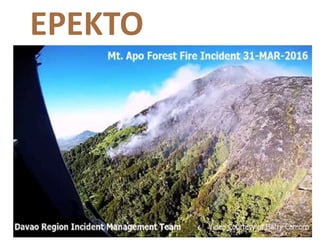 EPEKTO
 
