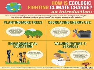 7 climate change 