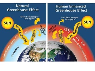 7 climate change 