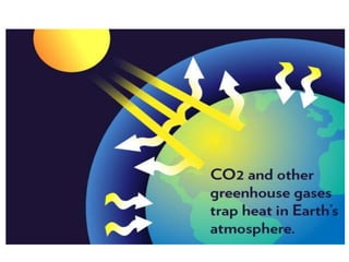 7 climate change 