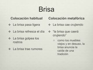 Brisa
 Colocación habitual         Colocación metafórica
 La brisa pasa ligera        La brisa cae crujiendo

 La brisa refresca el día    “la brisa que caerá
                                crujiendo”
 La brisa golpea los
                                 como los muebles
   rostros
                                   viejos y en desuso, la
                                   brisa anuncia la
 La brisa trae rumores
                                   caída de una




                                                            Olga Rojas
                                   tradición
 