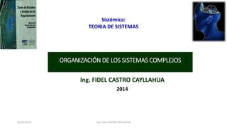 ORGANIZACIÓN DE LOS SISTEMAS COMPLEJOS
Ing. FIDEL CASTRO CAYLLAHUA
2014
01/07/2019 Ing. Fidel CASTRO CAYLLAHUA
Sistémica:
TEORIA DE SISTEMAS
 