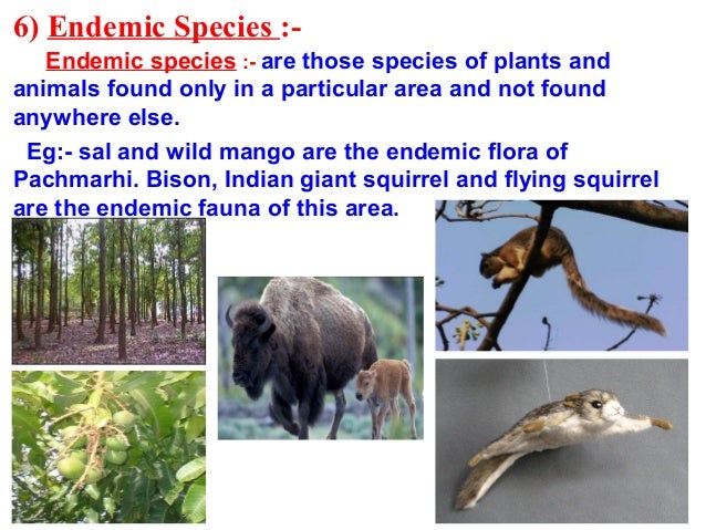 7conservationofplantsandanimals 7conservationofplantsandanimals