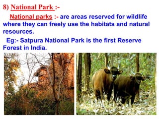 8) National Park :-
National parks :- are areas reserved for wildlife
where they can freely use the habitats and natural
resources.
Eg:- Satpura National Park is the first Reserve
Forest in India.
 