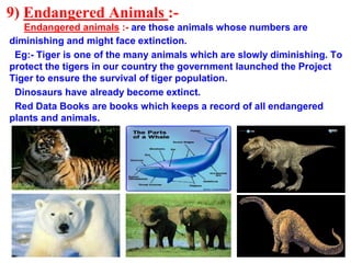 9) Endangered Animals :-
Endangered animals :- are those animals whose numbers are
diminishing and might face extinction.
Eg:- Tiger is one of the many animals which are slowly diminishing. To
protect the tigers in our country the government launched the Project
Tiger to ensure the survival of tiger population.
Dinosaurs have already become extinct.
Red Data Books are books which keeps a record of all endangered
plants and animals.
 
