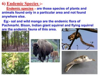 6) Endemic Species :-
Endemic species :- are those species of plants and
animals found only in a particular area and not found
anywhere else.
Eg:- sal and wild mango are the endemic flora of
Pachmarhi. Bison, Indian giant squirrel and flying squirrel
are the endemic fauna of this area.
 
