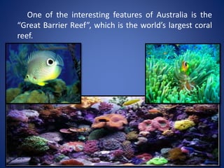 One of the interesting features of Australia is the
“Great Barrier Reef”, which is the world’s largest coral
reef.
 