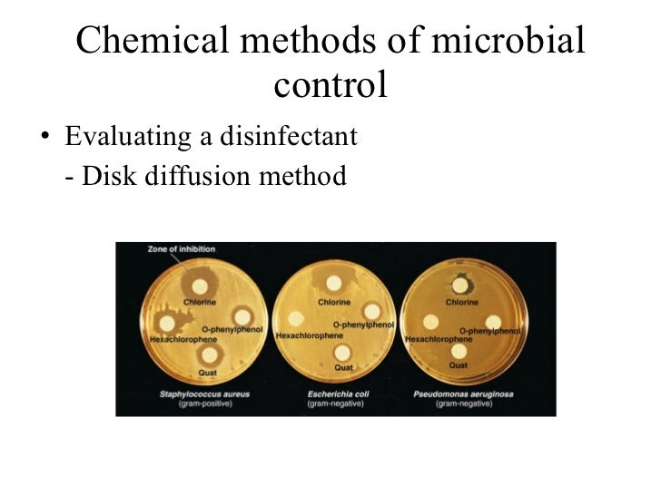 7 control of microbial growth