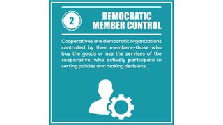7 cooperative principles