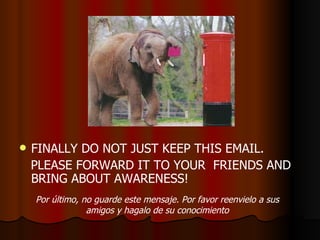 FINALLY DO NOT JUST KEEP THIS EMAIL. PLEASE FORWARD IT TO YOUR  FRIENDS AND BRING ABOUT AWARENESS! Por último, no guarde este mensaje. Por favor reenvielo a sus amigos y hagalo de su conocimiento 