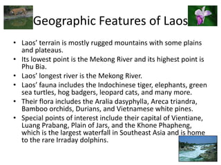 Geographic Features of LaosLaos’ terrain is mostly rugged mountains with some plains and plateaus. Its lowest point is the Mekong River and its highest point is PhuBia. Laos’ longest river is the Mekong River. Laos’ fauna includes the Indochinese tiger, elephants, green sea turtles, hog badgers, leopard cats, and many more. Their flora includes the Araliadasyphylla, Areca triandra, Bamboo orchids, Durians, and Vietnamese white pines. Special points of interest include their capital of Vientiane, LuangPrabang, Plain of Jars, and the KhonePhapheng, which is the largest waterfall in Southeast Asia and is home to the rare Irraday dolphins. 