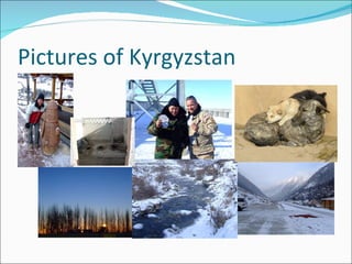Pictures of Kyrgyzstan 