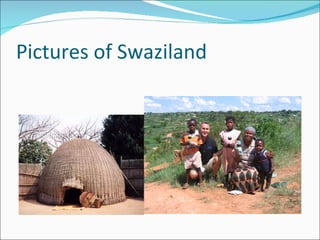 Pictures of Swaziland 
