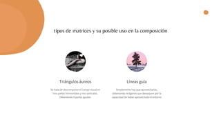 tipos de matrices y su posible uso en la composición
Triángulos áureos
Se trata de descomponer el campo visual en
tres partes horizontales y tres verticales.
Obteniendo 9 partes iguales.
Líneas guía
Simplemente hay que aprovecharlas,
obteniendo imágenes que destaquen por la
capacidad de haber aprovechado el entorno
 