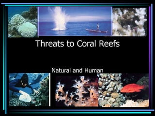 Threats to Coral Reefs
Natural and Human
 