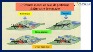 Diferentes modos de ação de pesticidas
sistémicos e de contacto
Sistémicos Contacto
Gotas grandes
Gotas pequenas
 