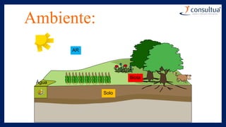 Ambiente:
Água
AR
Solo
Biota
 