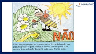 7 cuidados preparacao caldas