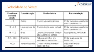 Velocidade do Vento:
 