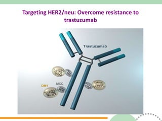 Targeting HER2/neu: Overcome resistance to trastuzumab 
