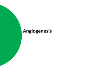 Angiogenesis 