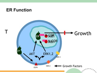 ER Function Growth Growth Factors HER-3 HER-2 T EGFR T ERK1,2 AKT ER ER ER ER AIB1 N-COR AIB1 N-COR ER 