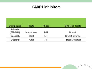 PARP1 inhibitors Compound Route Phase Ongoing Trials Iniparib  (BSI-201)  Intravenous  I–III  Breast  Veliparib  Oral I-II  Breast, ovarian  Olaparib  Oral I–II  Breast, ovarian 