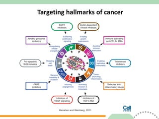 Targeting hallmarks of cancer 