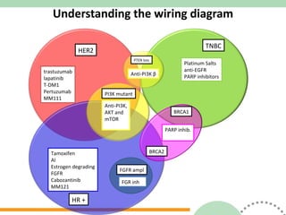 Understanding the wiring diagram trastuzumab lapatinib T-DM1 Pertuzumab MM111 HER2 HR + TNBC PTEN loss PI3K mutant BRCA1 BRCA2 Tamoxifen AI Estrogen degrading FGFR Cabozantinib MM121 Anti-PI3K, AKT and  mTOR Anti-PI3K  β PARP inhib. Platinum Salts anti-EGFR PARP inhibitors FGFR ampl FGR inh 