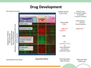 Drug Development One drug for the whole Angiogenesis inhibitors Biphosphonates Stroma-targeting drugs New chemotherapies Modulation of drug sensitvity (incl IGF1r Iinh) Cancer vaccines Low benefit for the whole Second-in class In a specific subtype:  To do better To reverse resistance Molecular Niche Global trials Expected effect mTOR inhibitors  small TKI Pertuzumab/trast CHK1 inh ? Trastuzumab T-DM1 PARP inh ? Cisplatin?  Subtype-specific First-in class AI + everolimus? TKI ? or  new subdivision according to  molecular events TAM Small population High sensitivity 